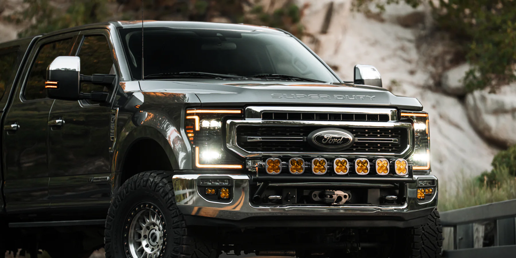 Illuminate Your Path with AlphaRex